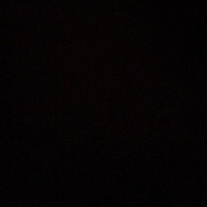 Meet your Posher, Ciera